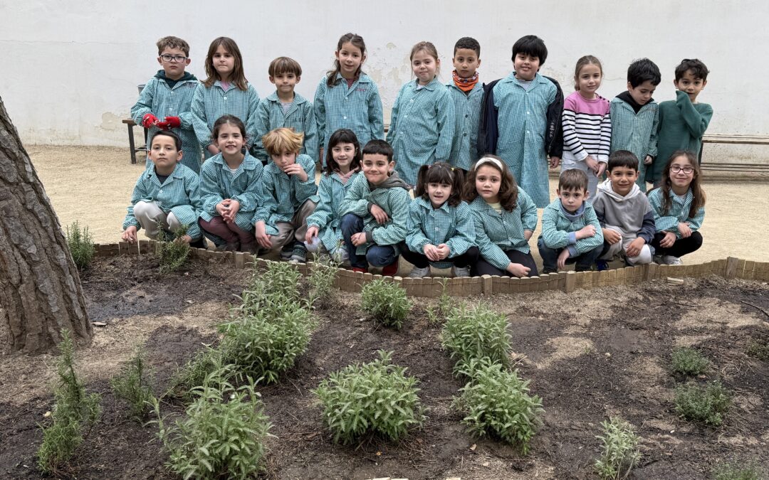 Cuidem el nostre jardí aromàtic